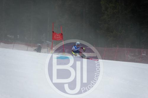 BJT 9747 DxO