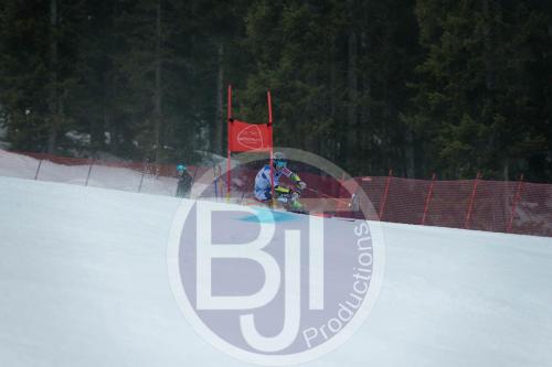 BJT 9757 DxO