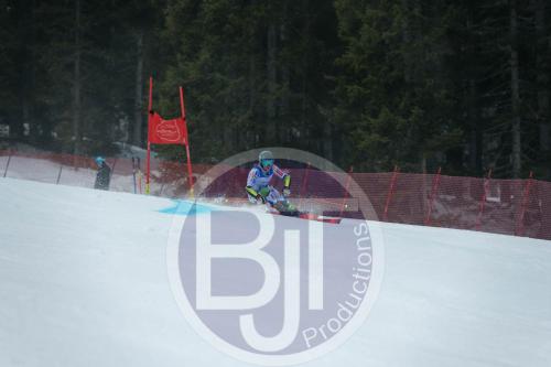 BJT 9758 DxO