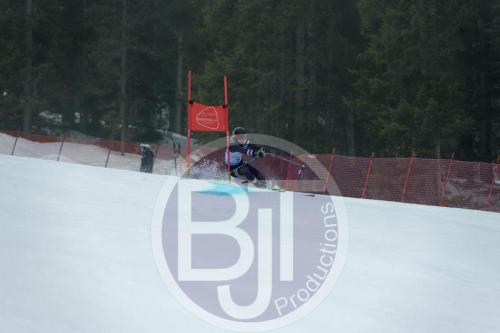 BJT 9762 DxO