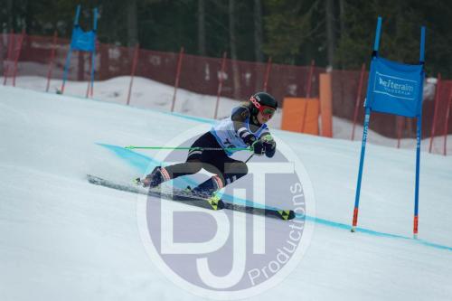BJT 9764 DxO