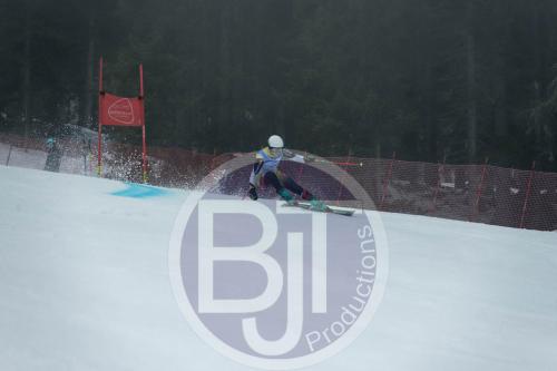 BJT 9767 DxO
