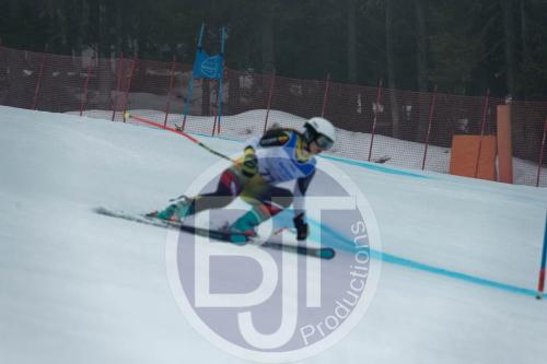 BJT 9769 DxO