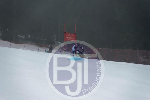 BJT 9772 DxO