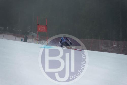 BJT 9773 DxO