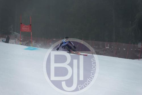BJT 9774 DxO