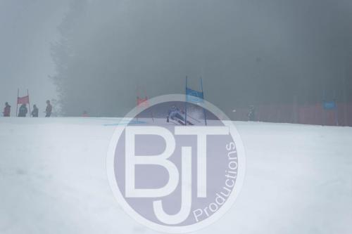 BJT 9778 DxO