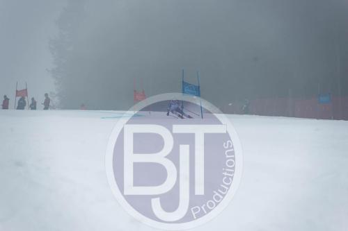 BJT 9779 DxO