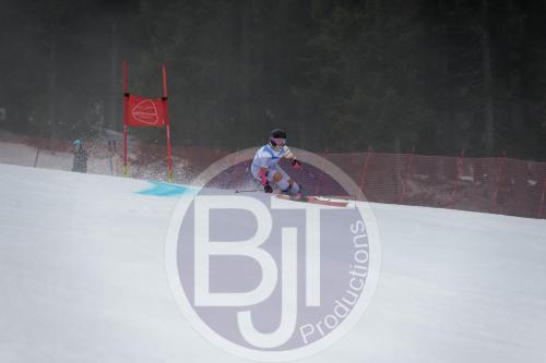 BJT 9785 DxO