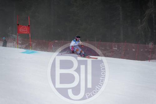 BJT 9786 DxO