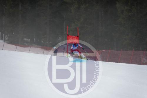 BJT 9789 DxO