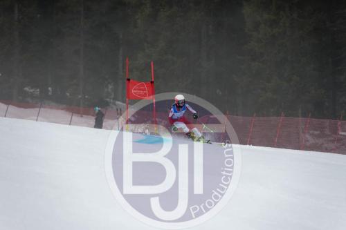BJT 9790 DxO