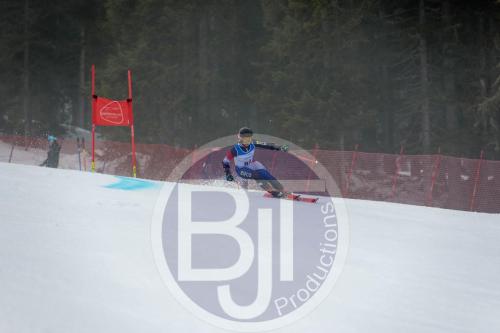BJT 9795 DxO