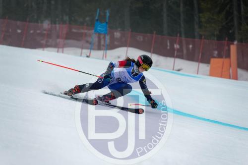 BJT 9796 DxO