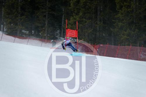 BJT 9804 DxO