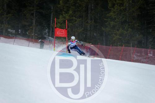 BJT 9805 DxO