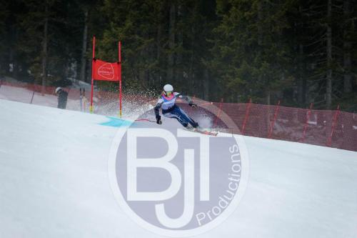 BJT 9806 DxO