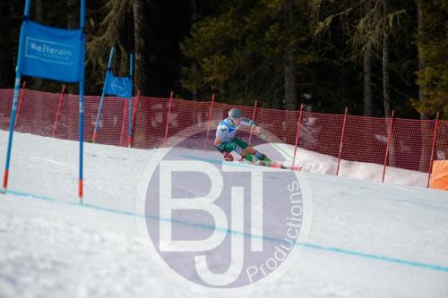 BJT 9815 DxO