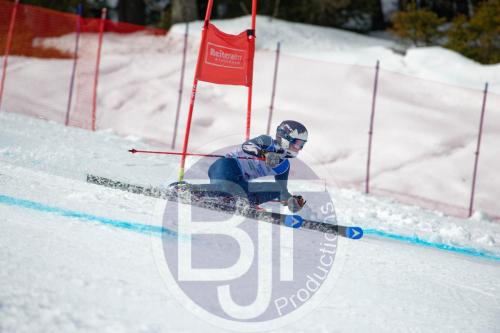 BJT 9822 DxO