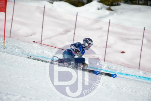 BJT 9823 DxO