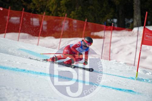 BJT 9827 DxO