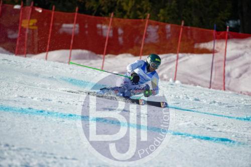 BJT 9875 DxO