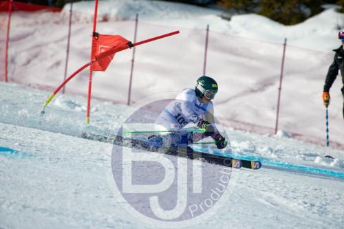 BJT 9877 DxO