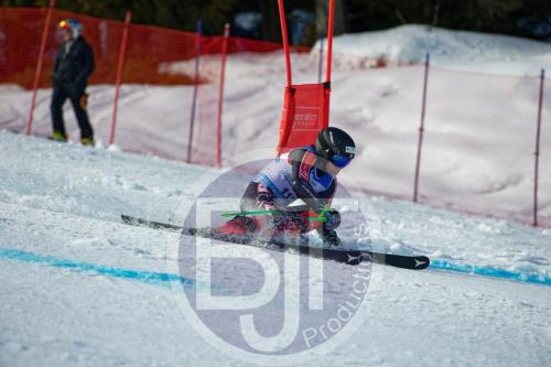 BJT 9882 DxO