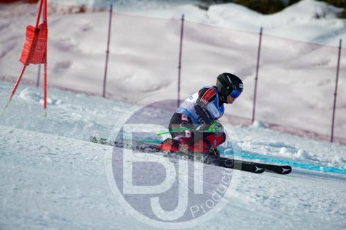 BJT 9883 DxO