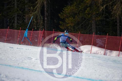 BJT 9885 DxO