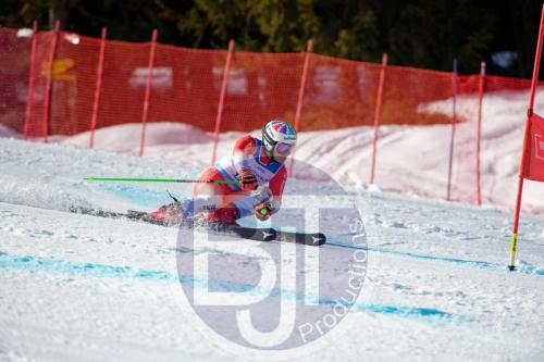 BJT 9892 DxO