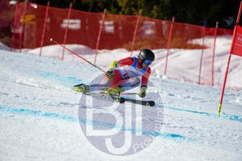 BJT 9935 DxO