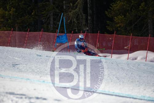 BJT 9938 DxO
