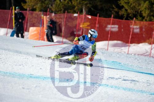 BJT 9972 DxO