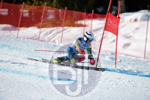 BJT 9974 DxO