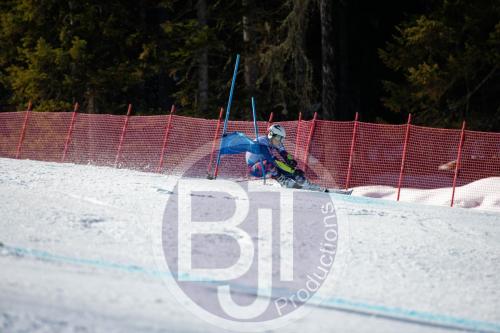 BJT 9975 DxO