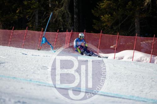 BJT 9976 DxO