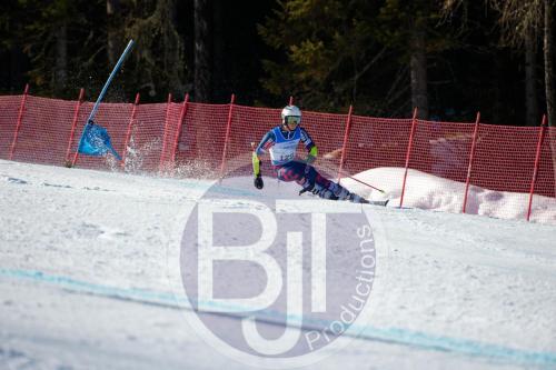 BJT 9977 DxO