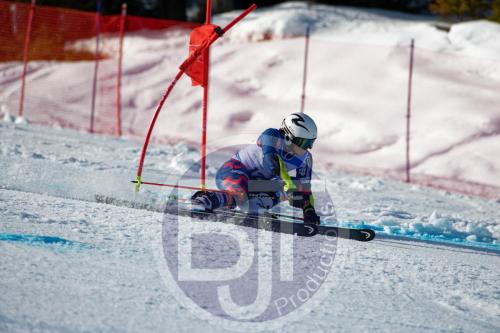 BJT 9980 DxO