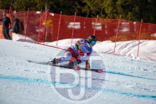 BJT 9984 DxO