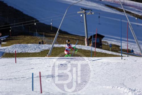 BJT 9661 DxO