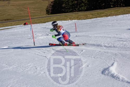 BJT 9847 DxO