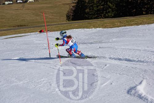BJT 9872 DxO