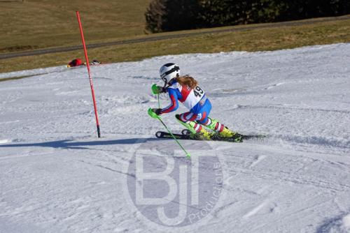 BJT 9878 DxO