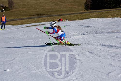 BJT 9879 DxO
