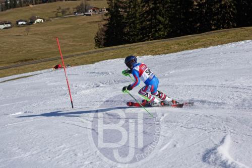 BJT 9902 DxO