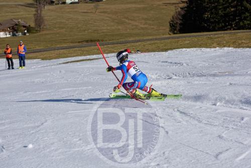 BJT 9927 DxO