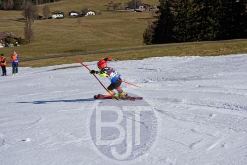 BJT 9941 DxO