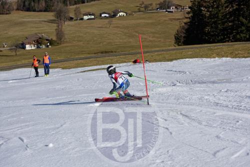 BJT 9984 DxO