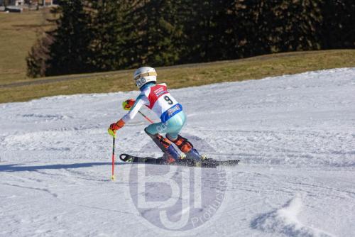 bjt11013 DxO